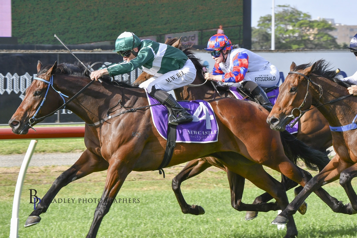 Gary Harley – Wrap – 18.10.25