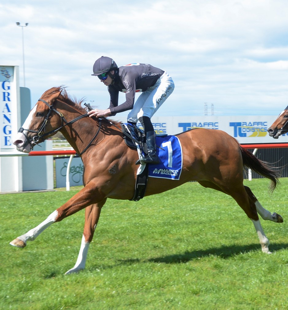 Gary Harley – Herald – 07.10.25