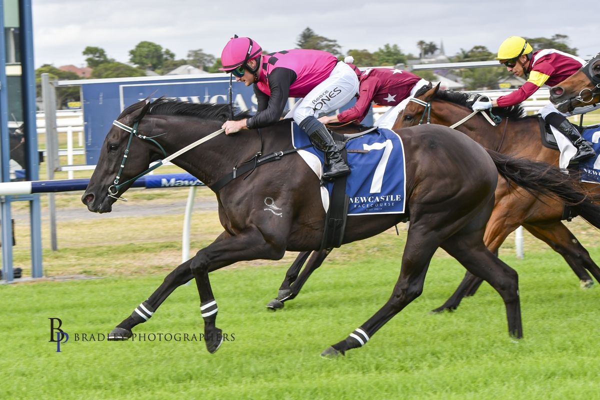 Gary Harley – Wrap – 27.10.25