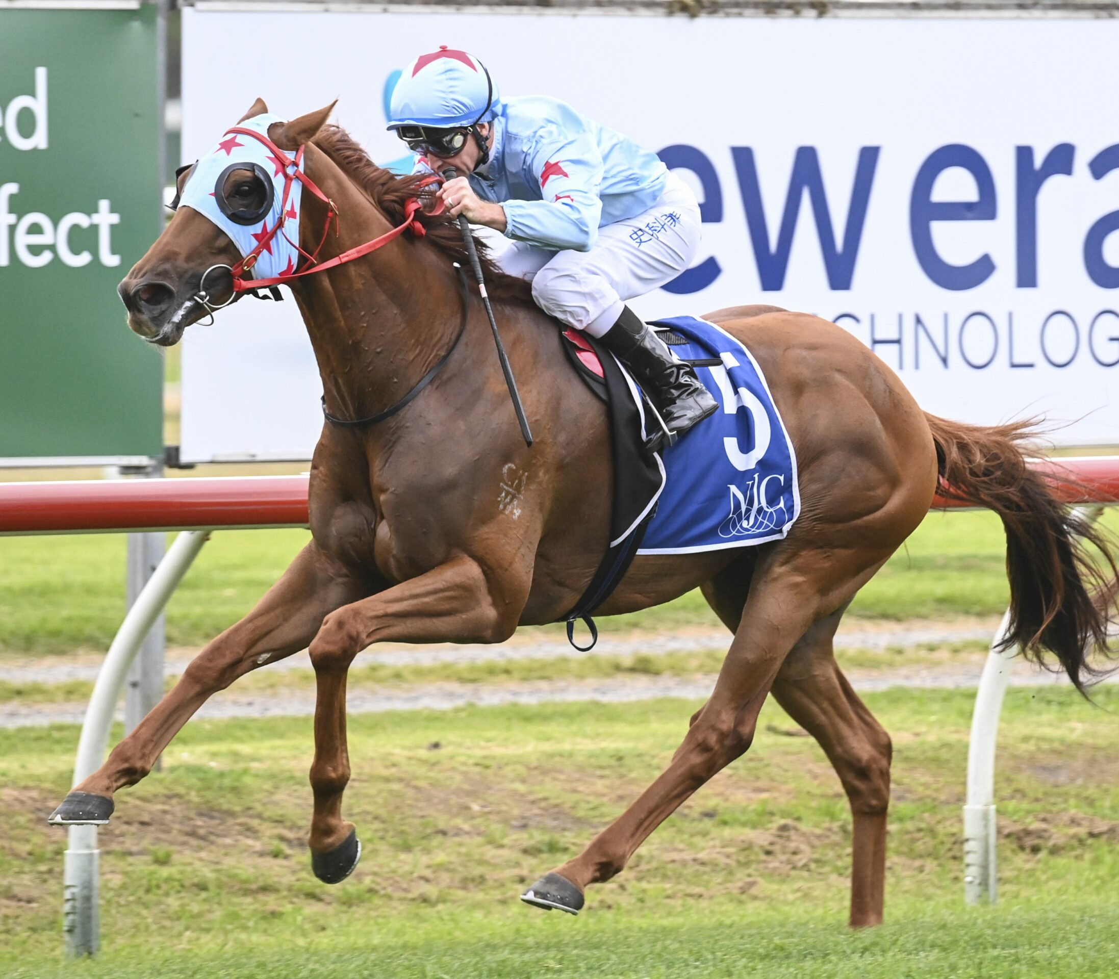 The Hunter – A Runner-By-Runner Guide