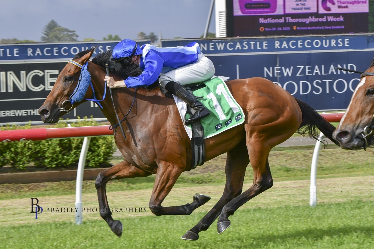 Gary Harley – Wrap – 20.11.25