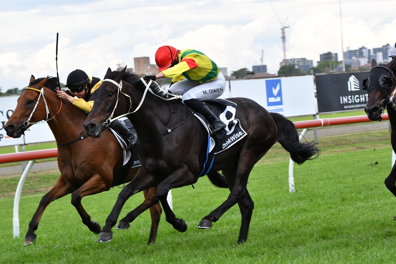 Gary Harley – Wrap – 01.11.25