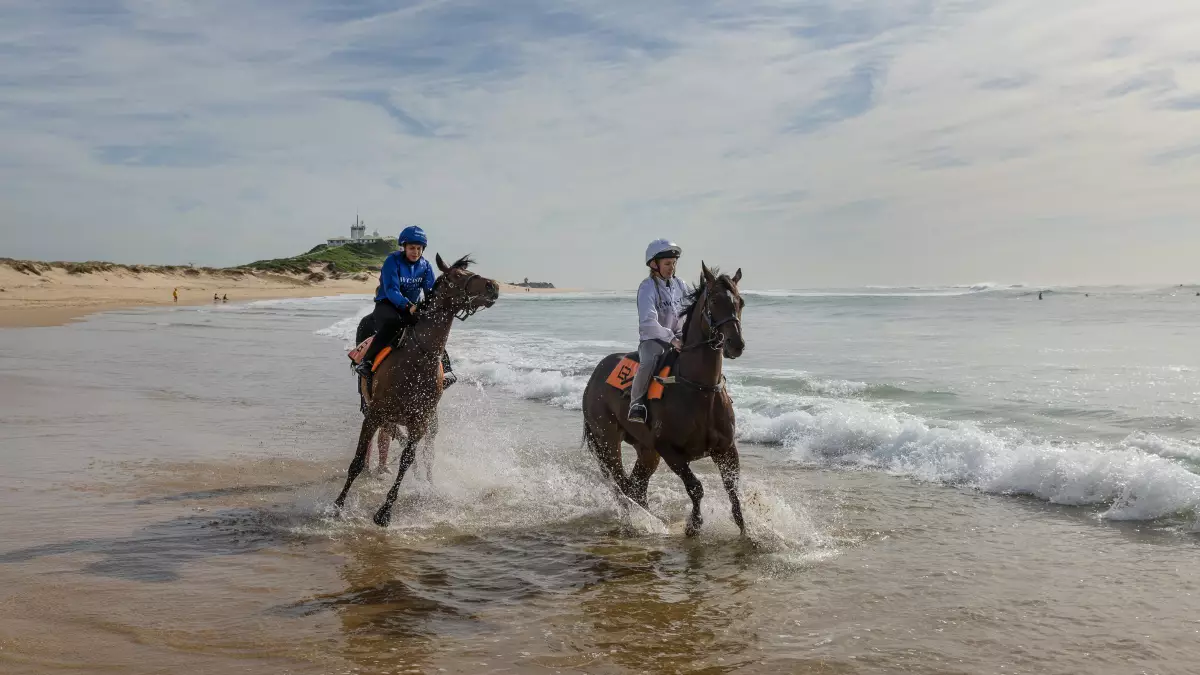 Newcastle’s $1m sprint: ‘You always want to win your feature race at home’