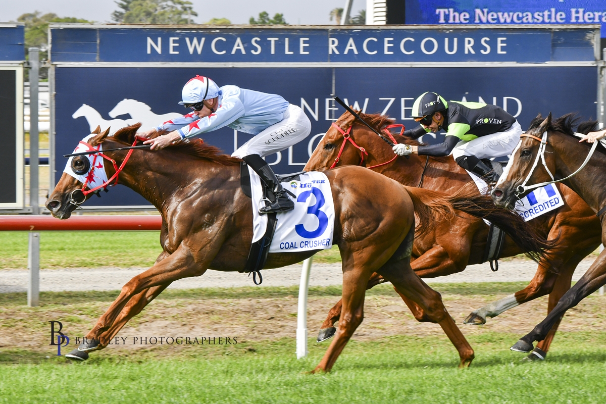 Gary Harley – Wrap – 15.11.25