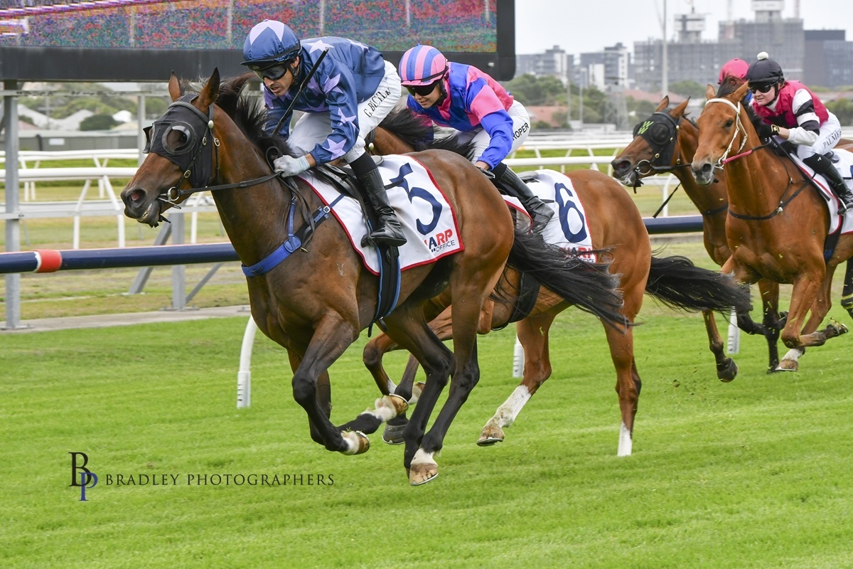 Newcastle Wrap – 16.12.25