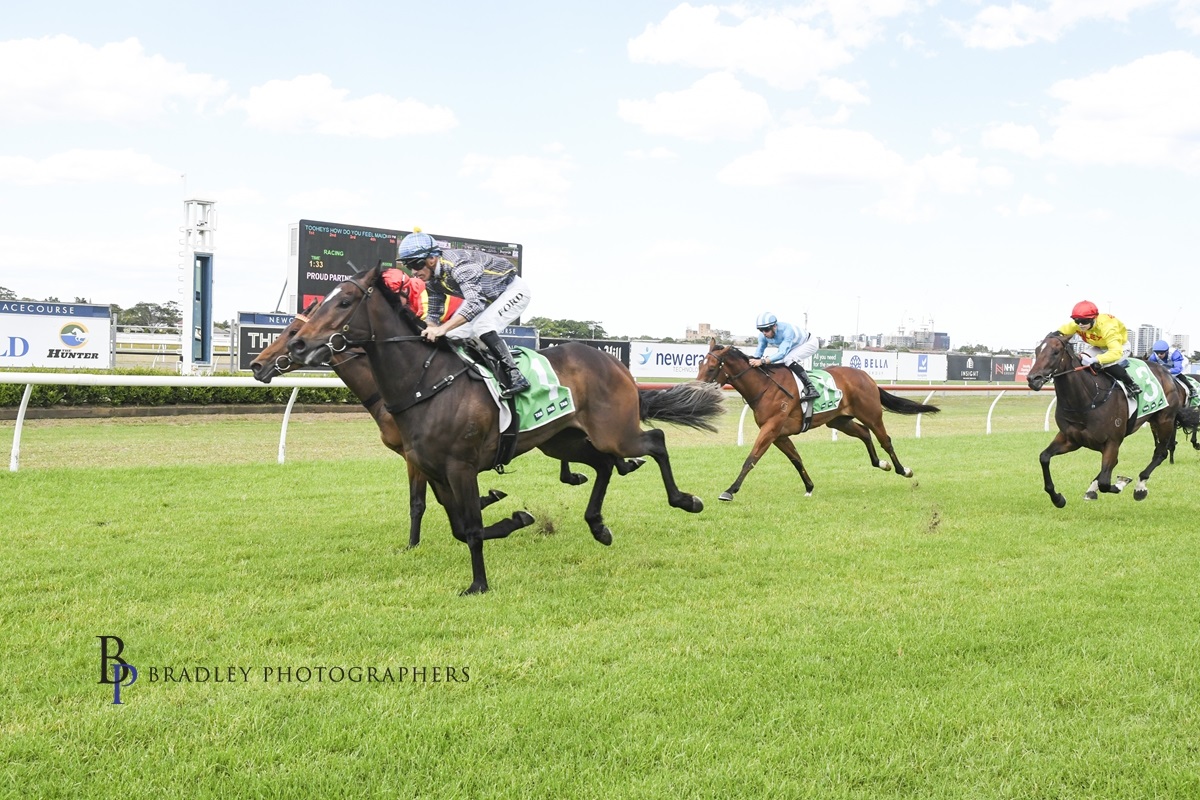 Gary Harley – Wrap – 30.11.25