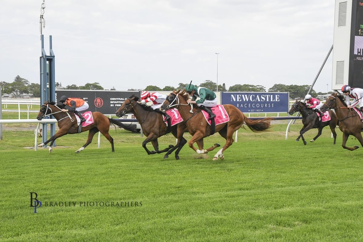 Racing Wrap – 15.01.26