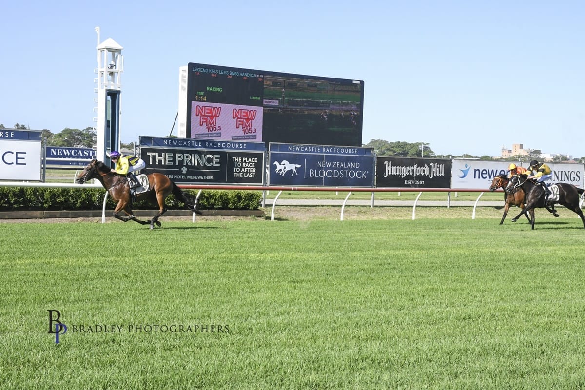 Racing Wrap – 24.01.26