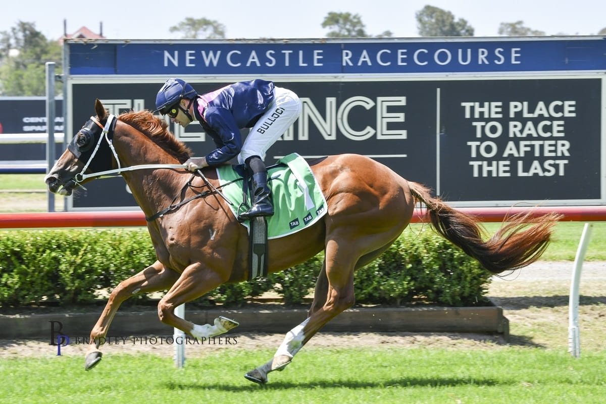 Racing Wrap – 31.01.26