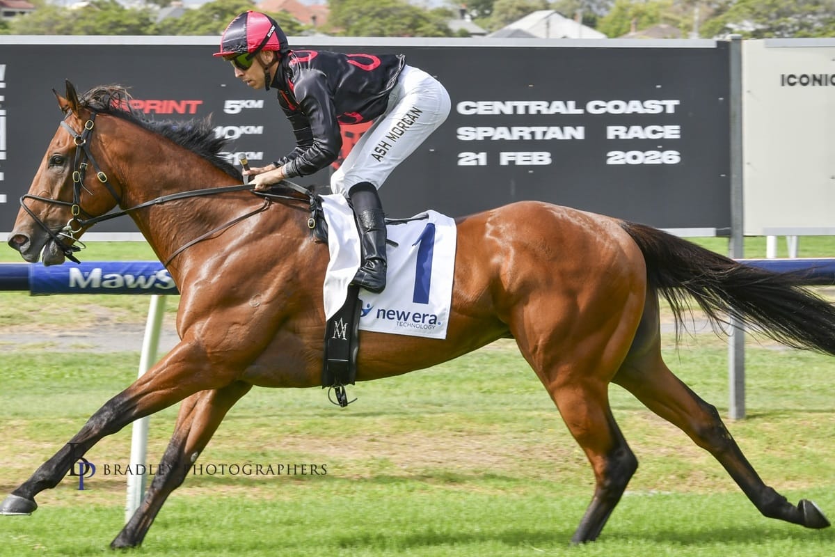 Racing Wrap – 02.02.26