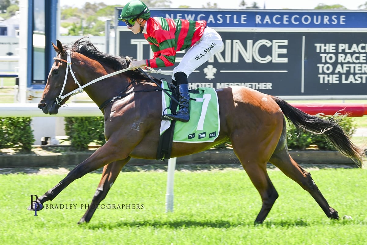 Racing Wrap – 14.02.26