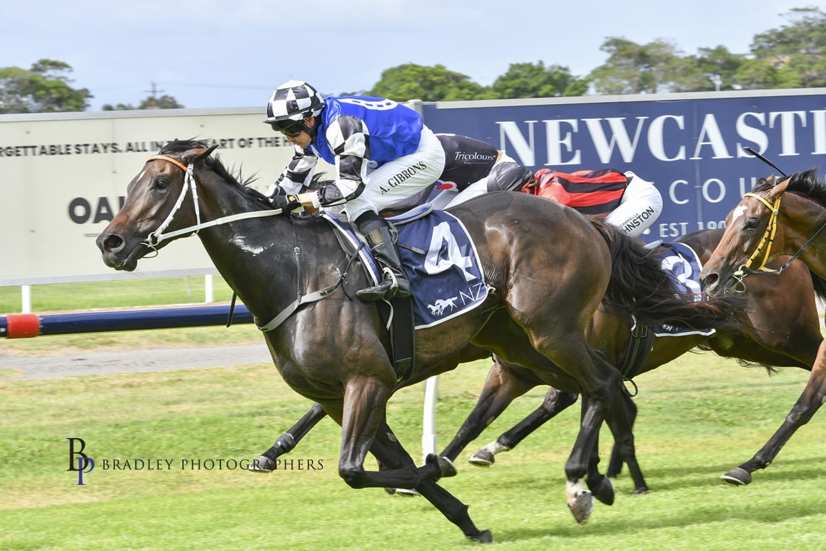 Racing Wrap – 16.02.26