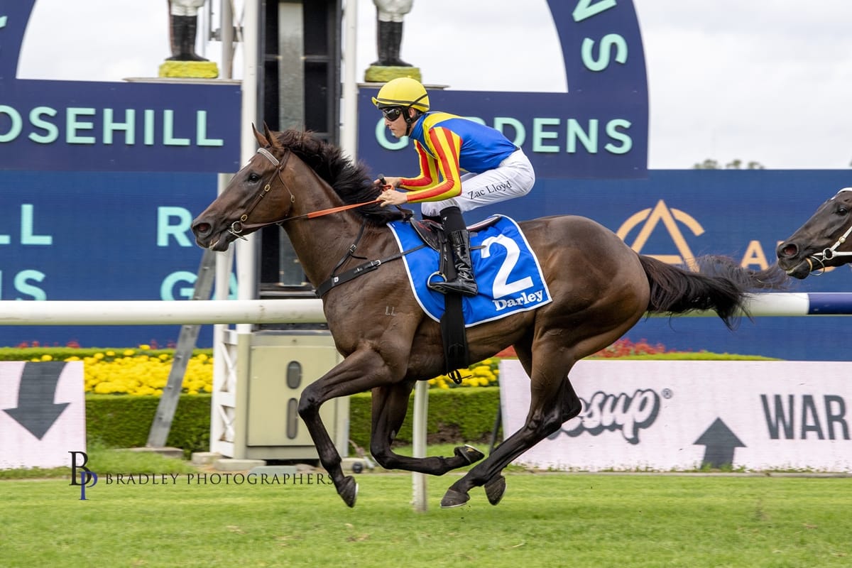 Race Day Preview 31.03.26