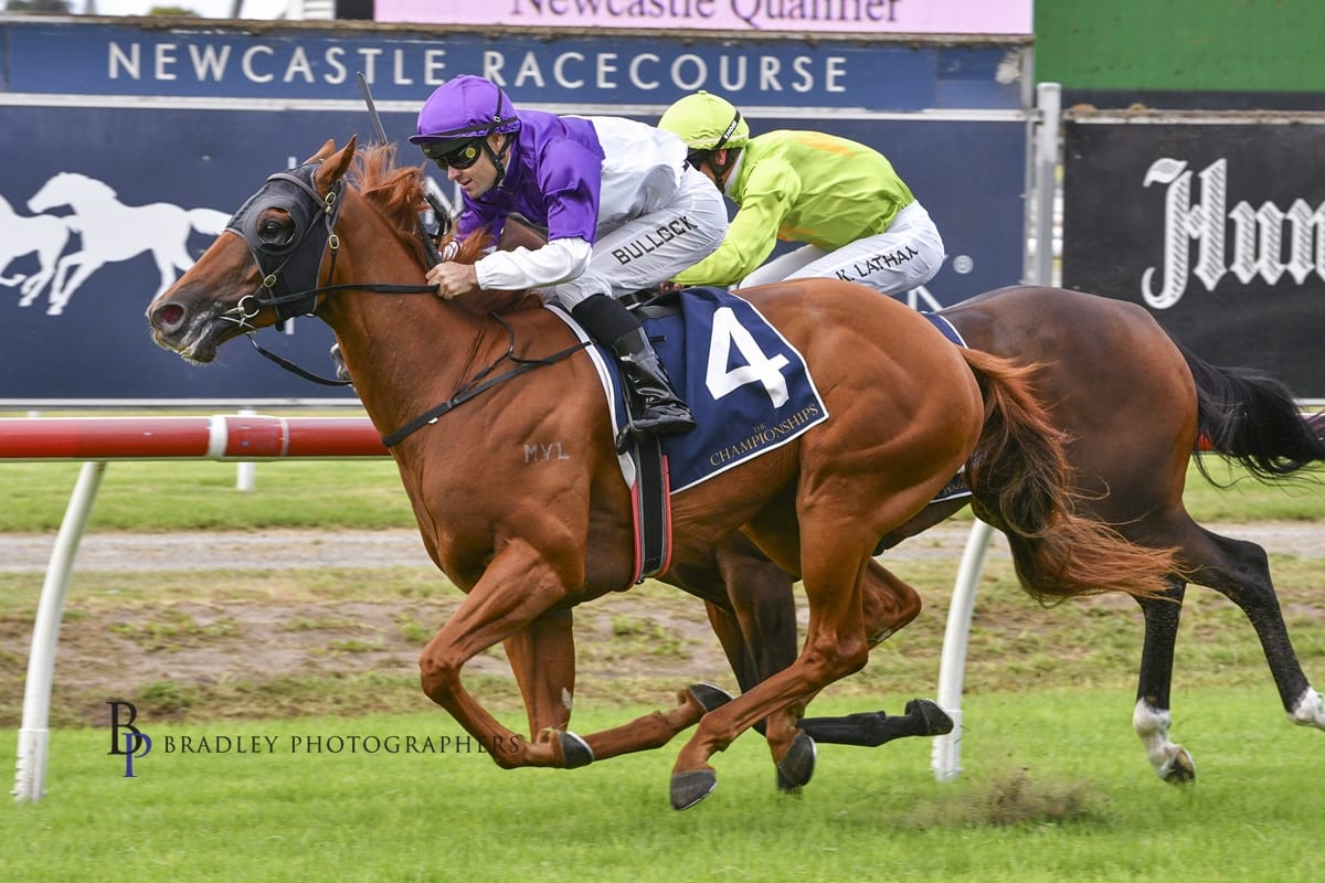 Racing Wrap – 28.02.26