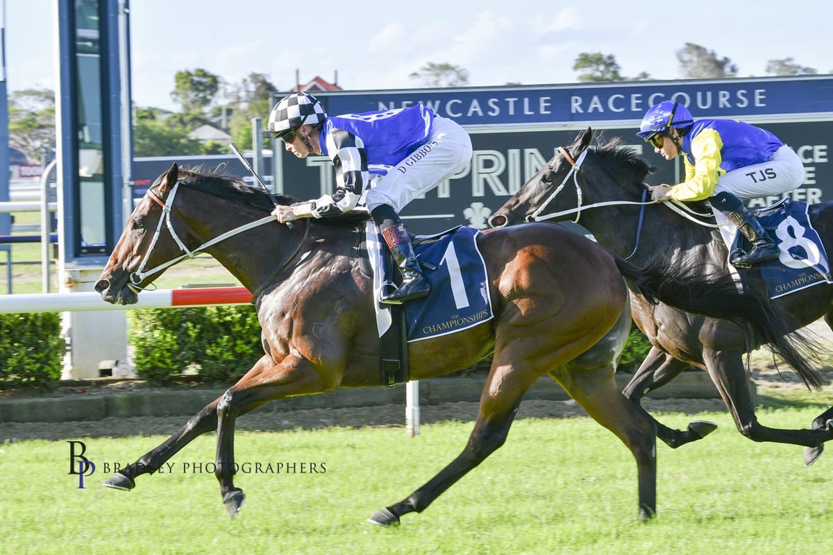 Racing Wrap  31.03.26