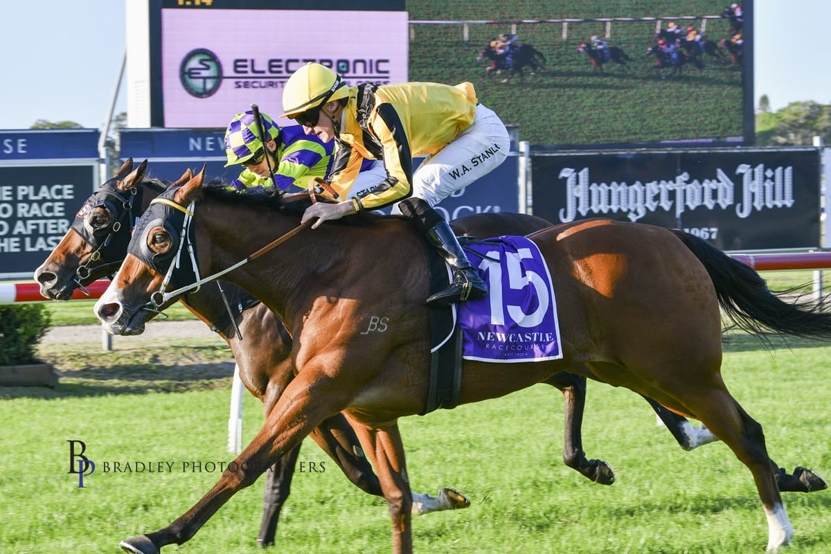 Racing Wrap 11.04.26