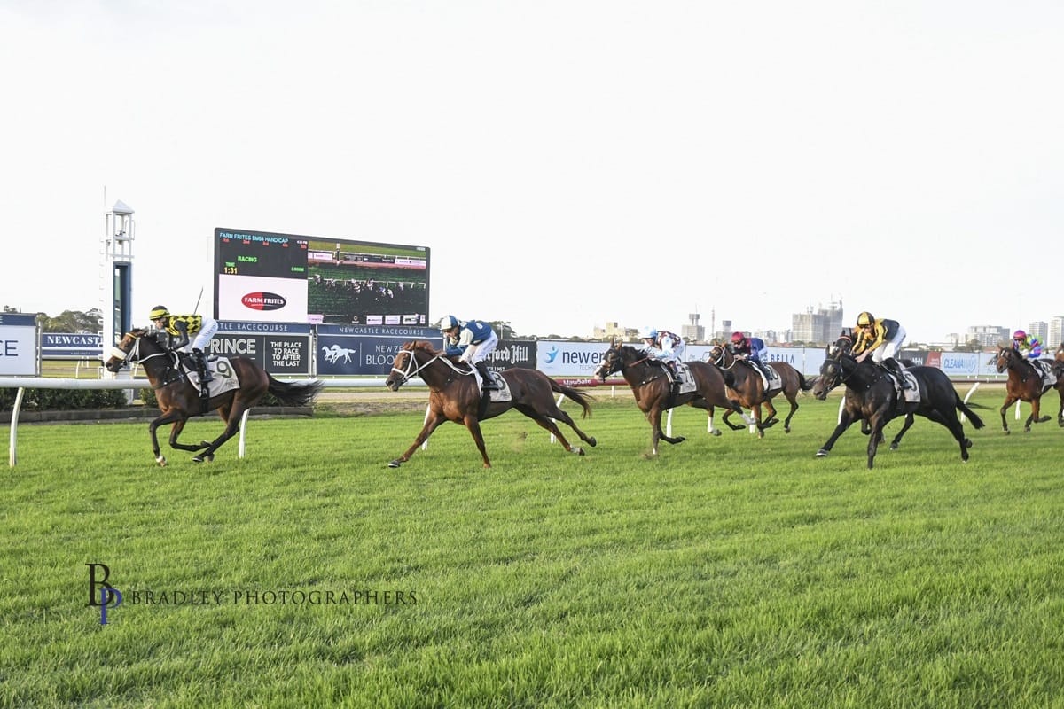 Racing Wrap – 02.05.26