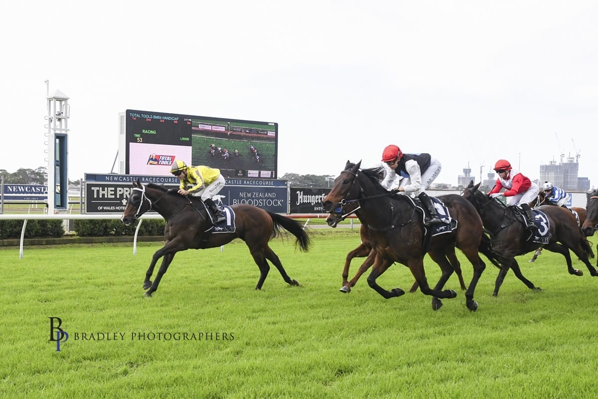 Racing Wrap – 23.05.26