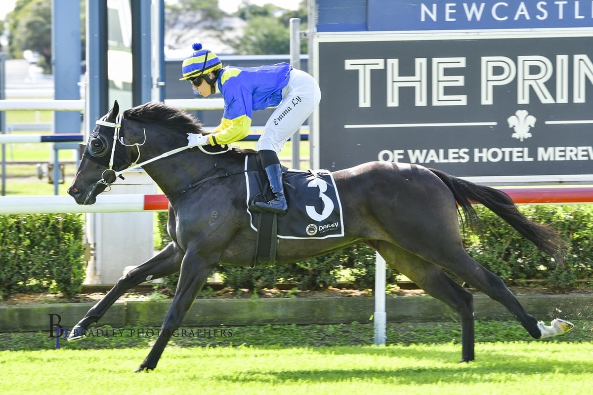 Racing Wrap – 19.05.26