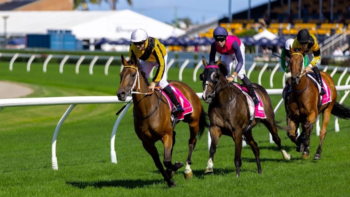 Expressions of Interest – Trainers’ Stables & Facilities