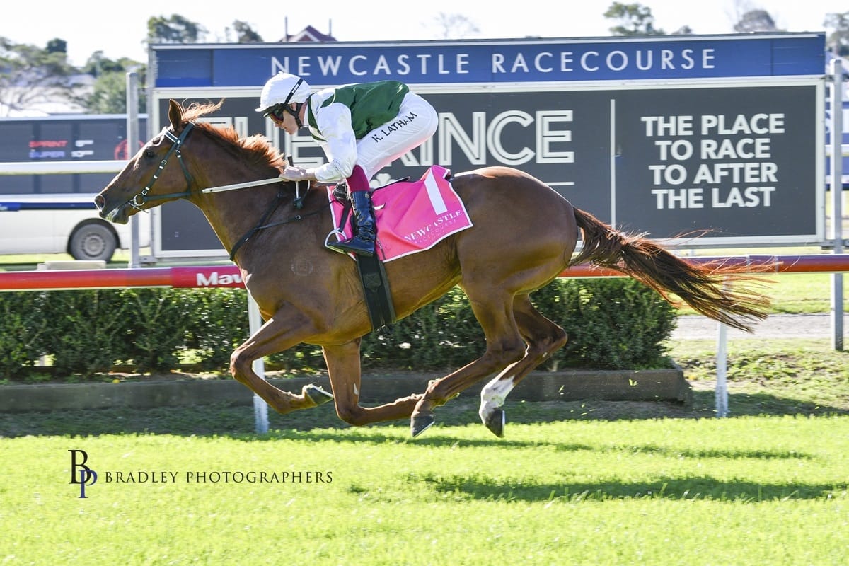 Racing Wrap – 06.06.26