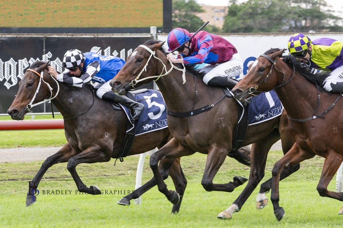 Racing Wrap – 27.06.26