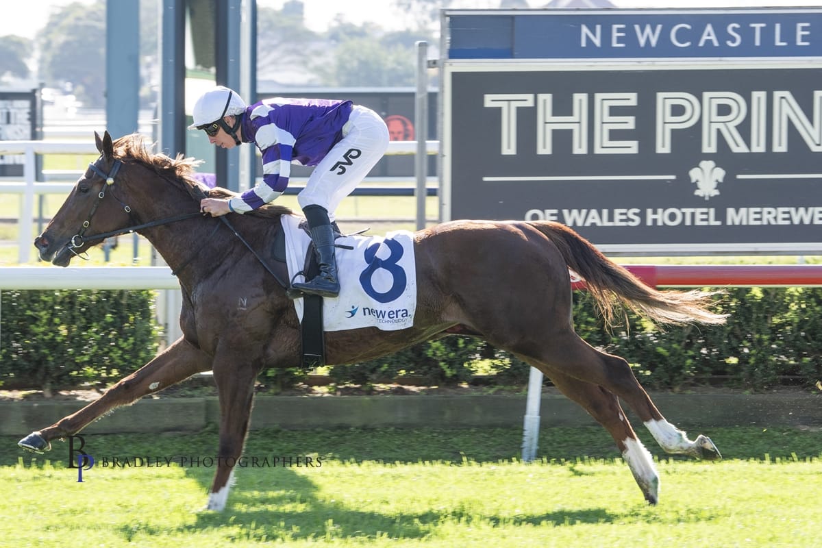 Racing Wrap – 11.07.26