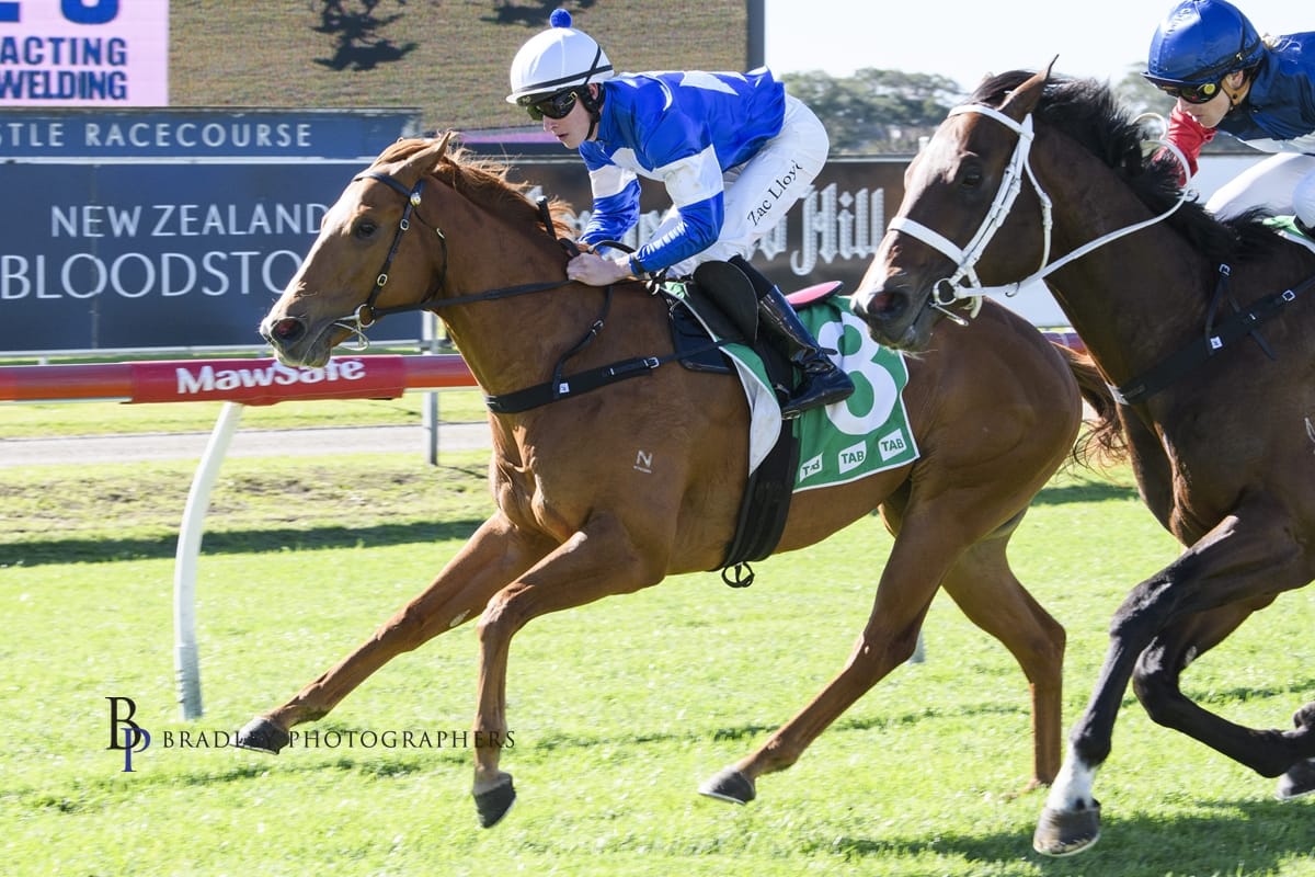 Racing Wrap – 14.07.26