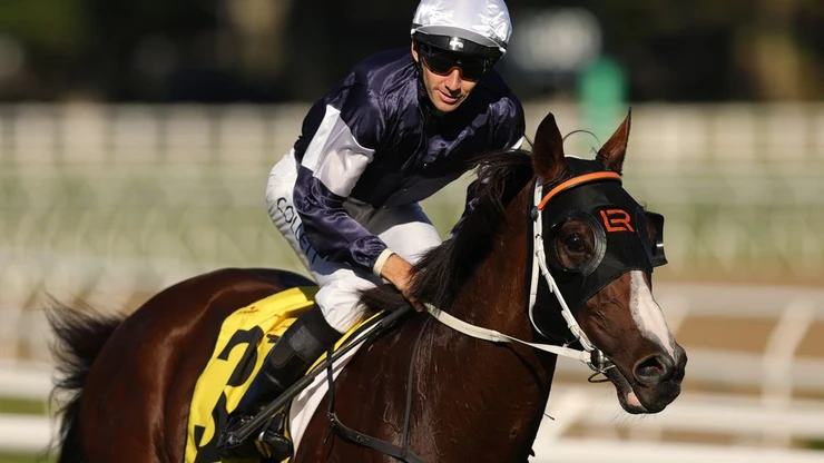With the new racing season now underway, last seasonโs Newcastle Racecourse premierships and special awards have now been confirmed.