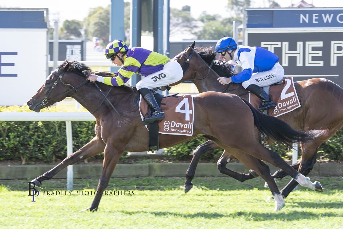 Racing Wrap – 01.08.26